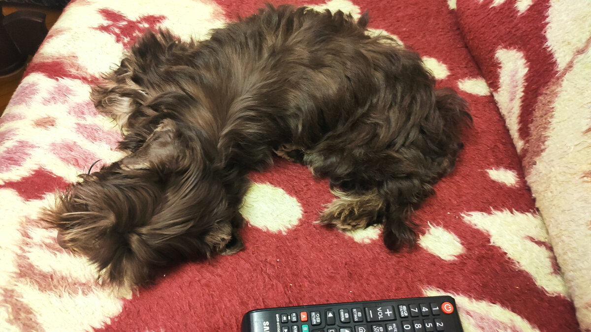 Правда странно спит?