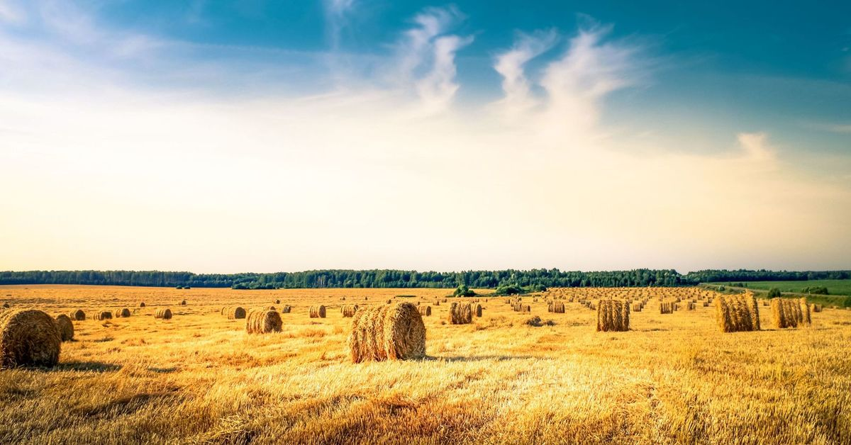 Источник: Яндекс.Картинки