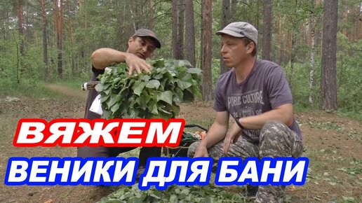 Когда заготавливать веники для бани