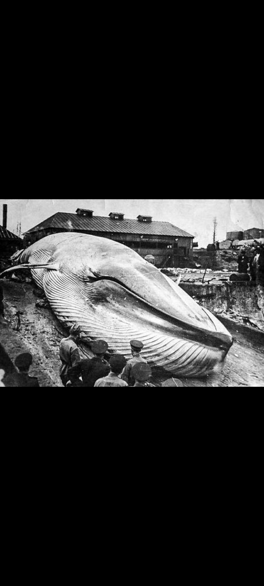 Подпишись 