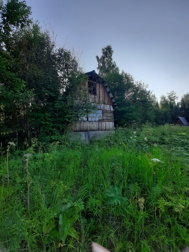 Вот, например, хороший домик. Все заросло, стекла выбиты, но он большой и на фундаменте. Руки надо приложить, но неплохо же?