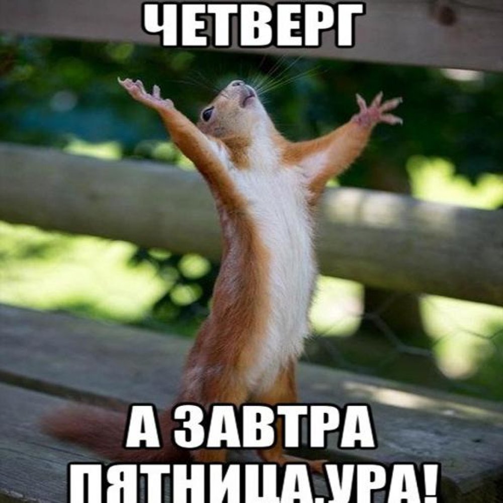 🙏Остальные заговоры по дням недели найдёте в папке «шепотки и заговоры», начинали мы с пятницы, и сейчас закончили четвергом, теперь неделя полная☀️