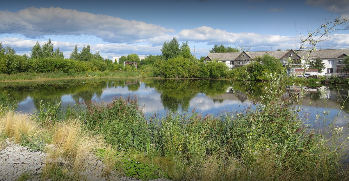 Карьер «Утиный». Именно здесь убийца хладнокровно наблюдал за смертью молодого парня // Google Maps