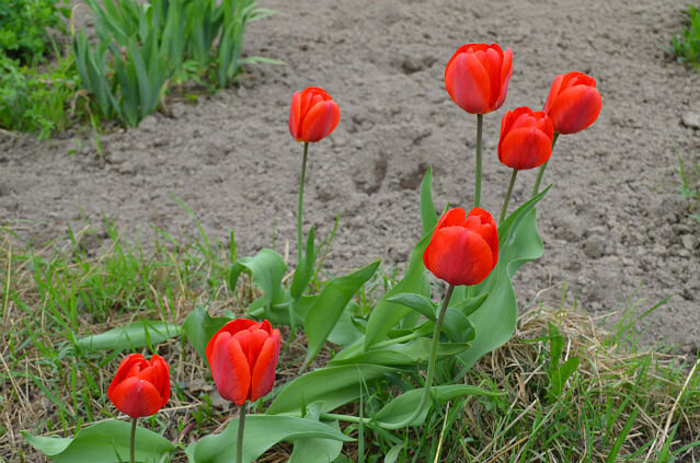 Родная земля и дом во все времена года.