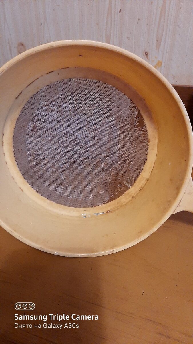 Сфотографировала в последний раз.