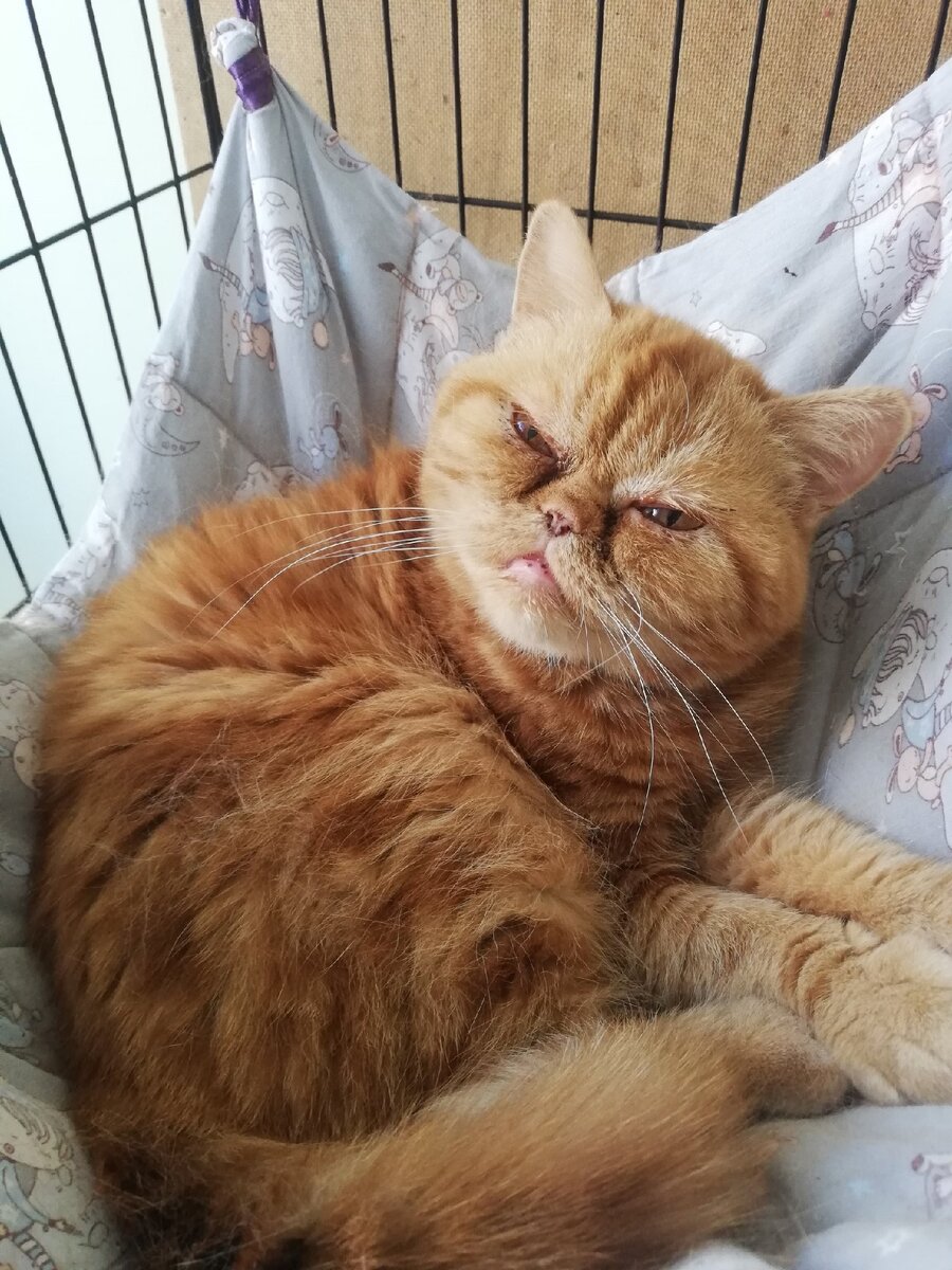 Думаю, не стоит объяснять, куда тебе лучше пойти © Квази