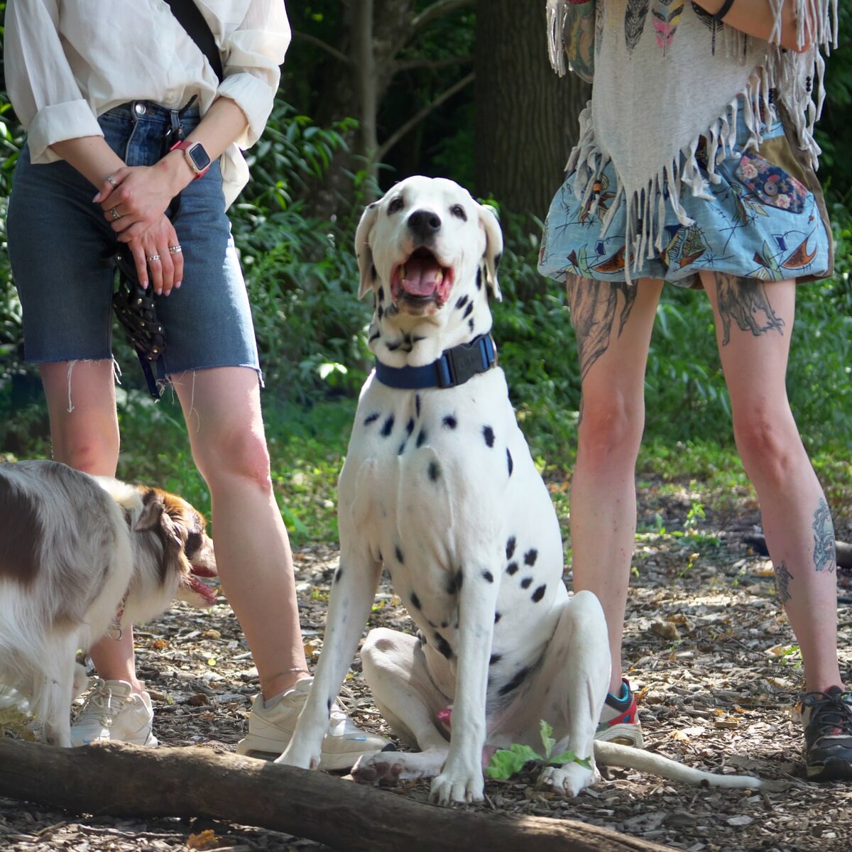 Онегин знает, куда смотреть. Фотограф тоже. Фото: Александр Падогин