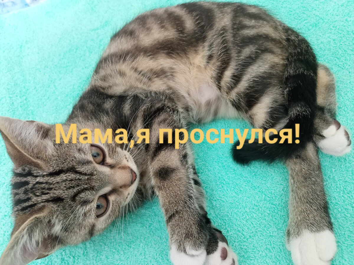 Личное фото 