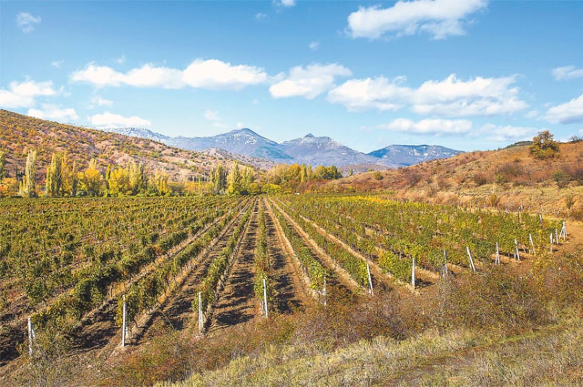    Бархатный сезон в Крыму – это возможность оздоровиться, получить новые впечатления и отправиться в гастротур.