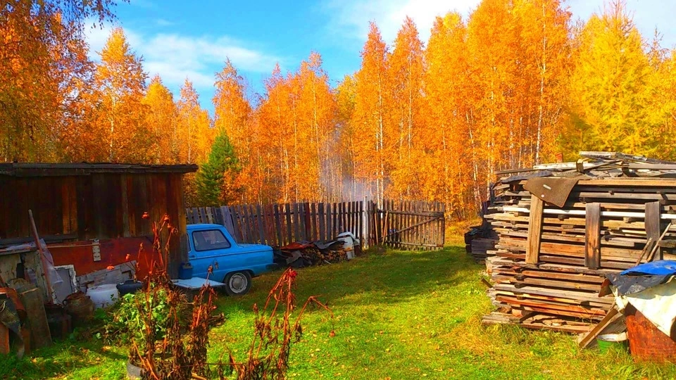 #телеканалусадьба #работыосенью #работавоктябре #сад #уходзасадом #чтопосадитьвоктябре #садоводоктябрь 