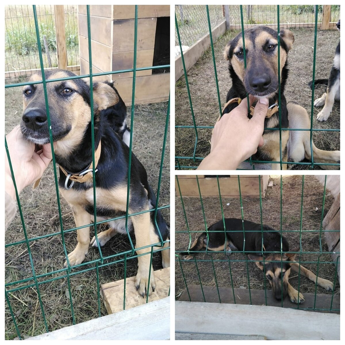 Фотография из личного архива