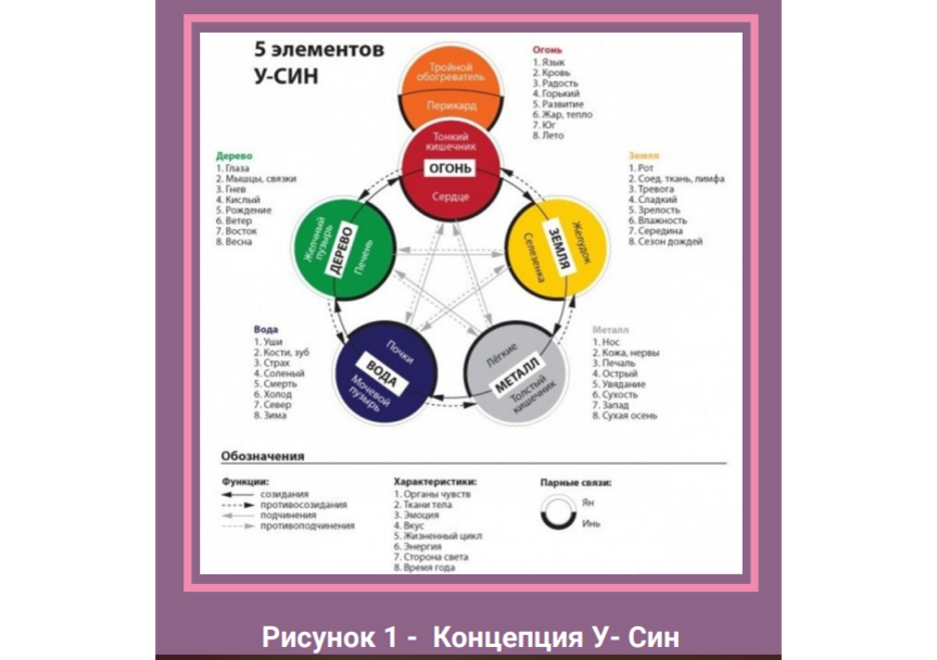 картинка взята из гайда "Здоровье и энергия"(А. Измайловой)