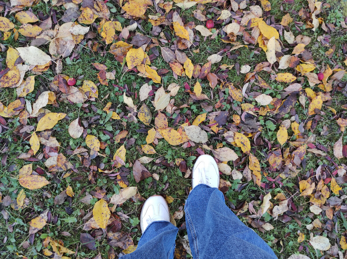 Такие красивые цвета