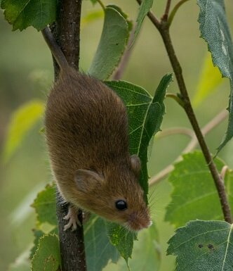 Изображение из открытого источника. Unsplash