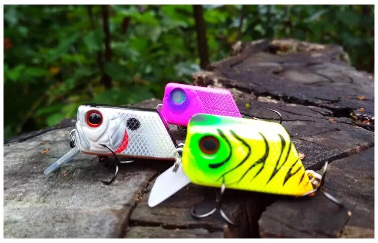 Косадака Кубик, фото Алексея Соболева