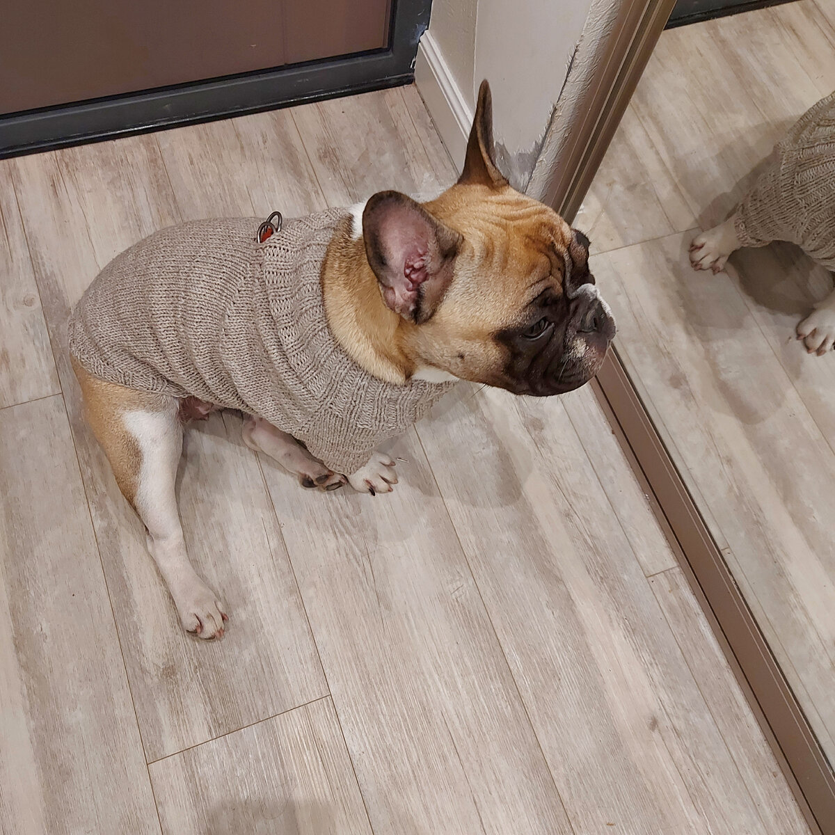 Наша обновка