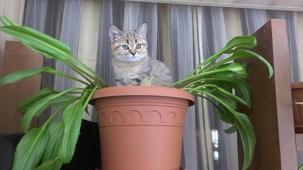 фото из интернета 