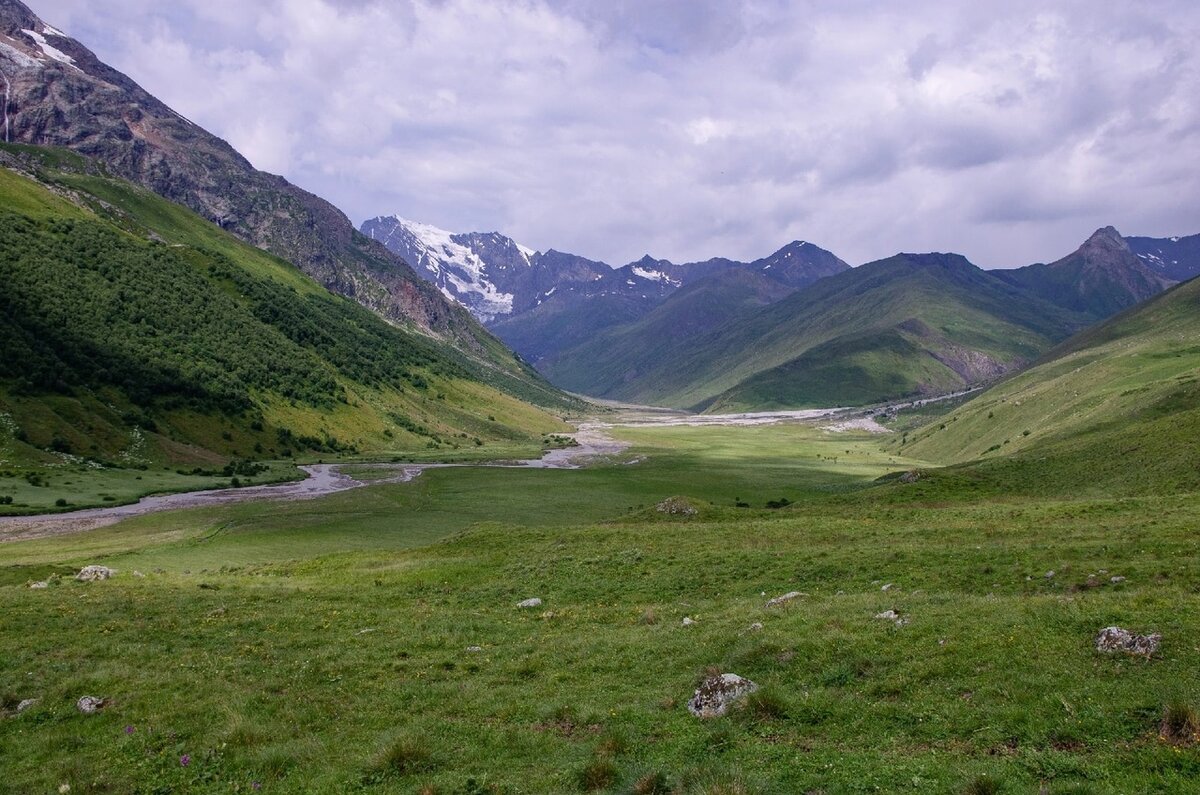 Болото Чифандзар, Ирафский район, РСО-Алания, фото: Черникова Оксана