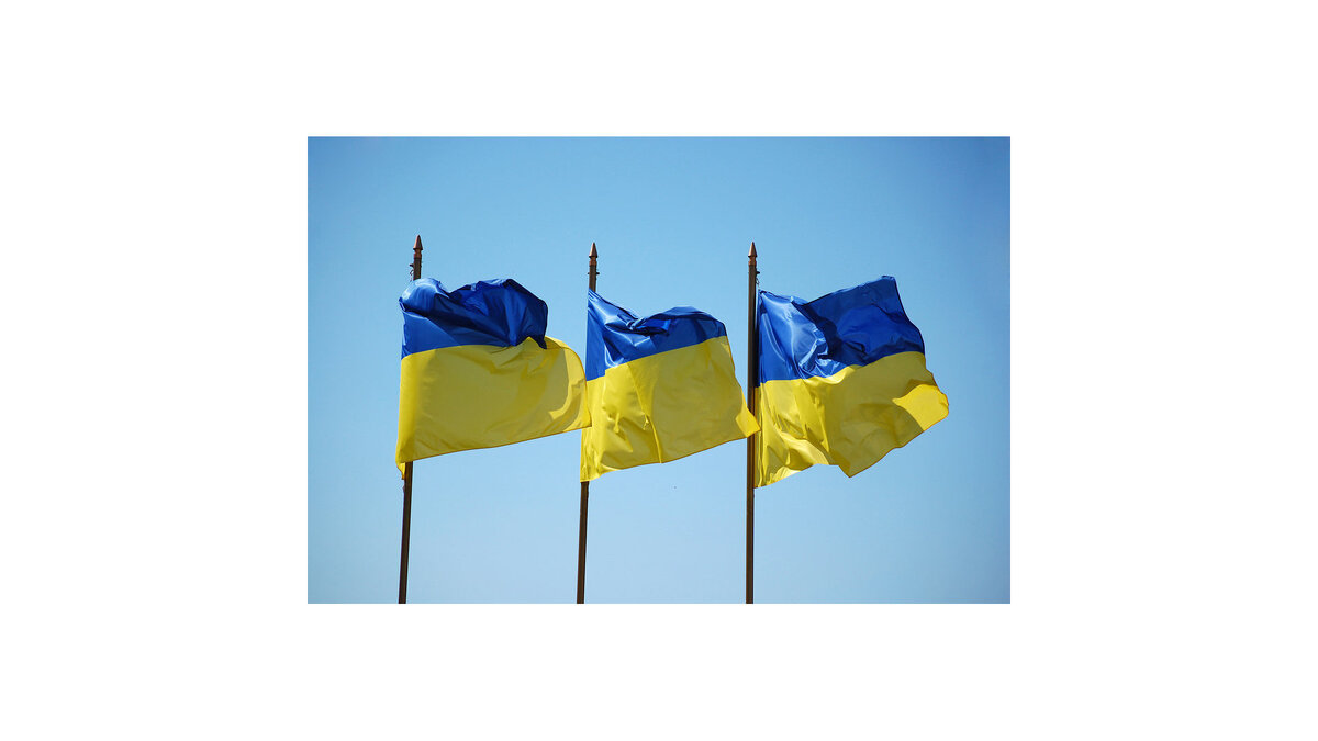    *флаг Украины© flickr.com / Vladimir Yaitskiy