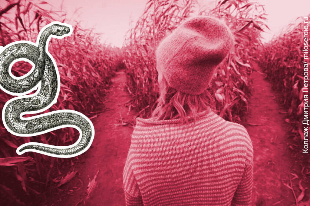 Альфрид Лэнгле: «Невыносимая тревога указывает путь». Ученик Виктора ...