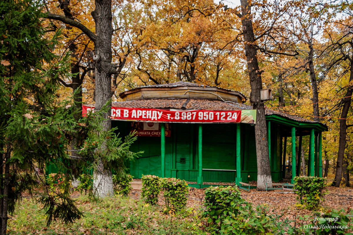 Чаплин загородный парк. Пастернак самара ресторан. Комната смеха самара загородный парк. Загородный парк самара 2023. Кафе чаплин в загородном парке самара.