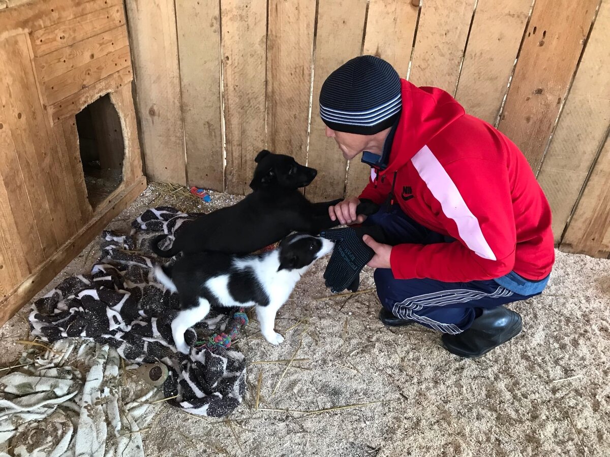 Ивану понравилось играть с малышней, а малышне с Иваном