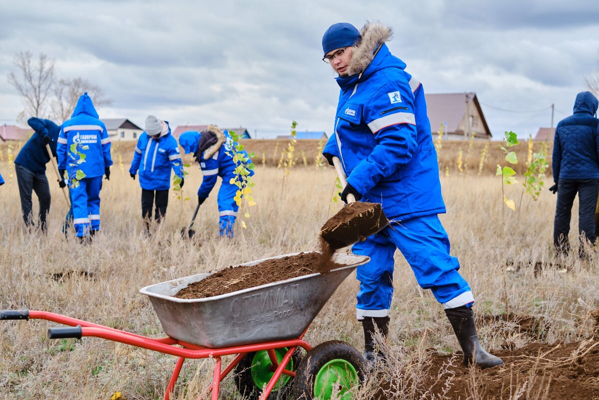    Волонтеры «Газпромнефть-Оренбурга» заложили в Бердянке тополиную рощу Марина Шарт