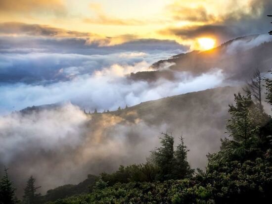    фото: pxhere.com