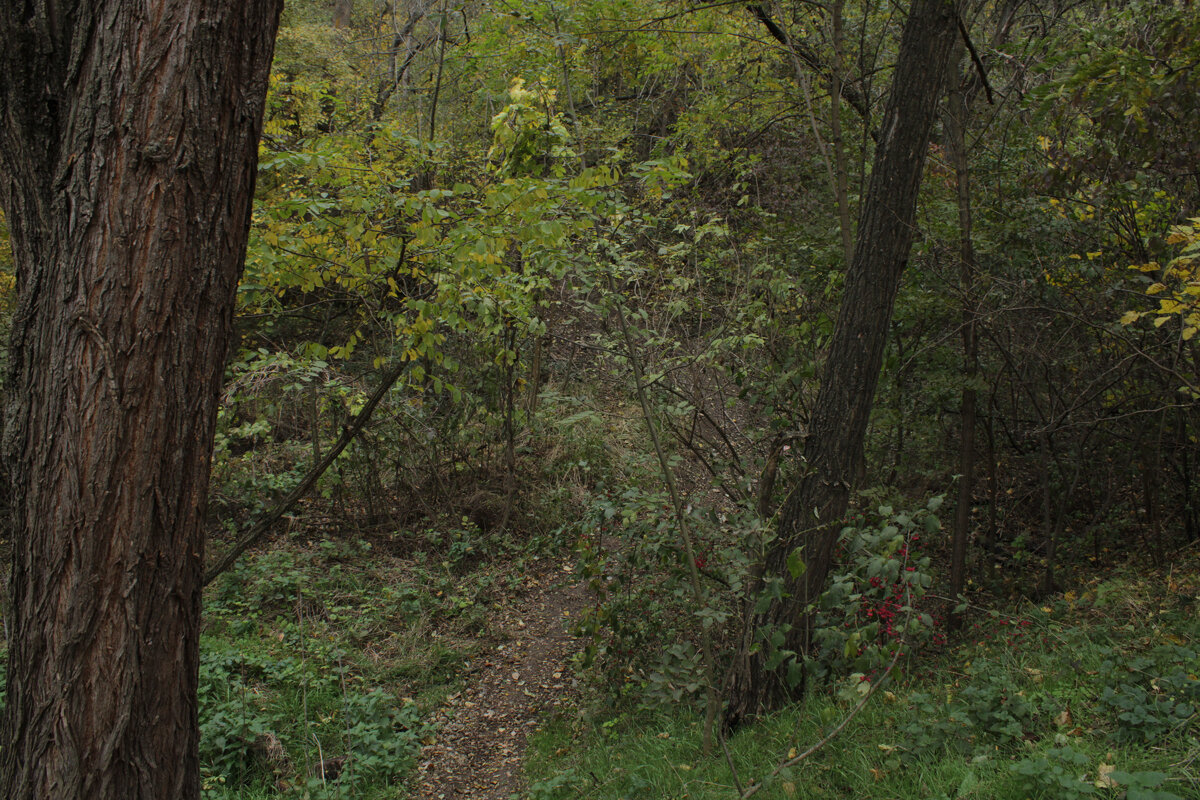 Фото идея: Природа и здоровье 