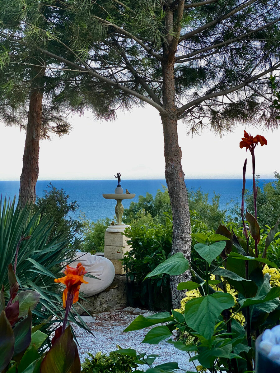 Крым, 2022 год, вид на море из сада автора, село Малый Маяк. 