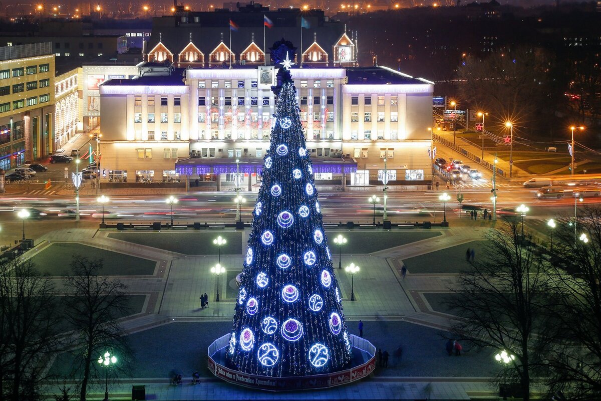 Елка на площади Победы в Калининграде