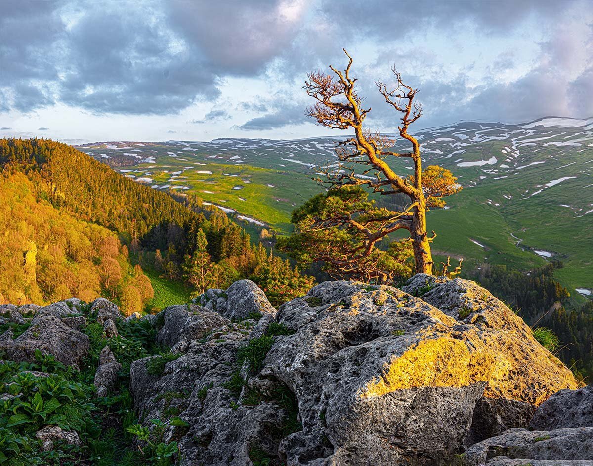 Плато Лаго-Наки Адыгея осень