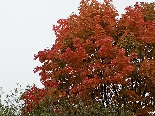 Фотография из личного архива автора