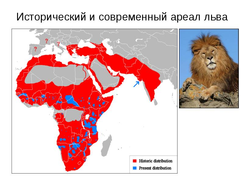 Карта мира львов