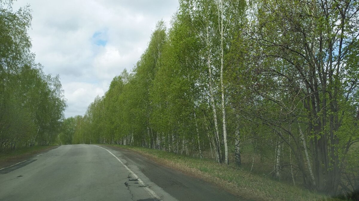 Личное фото. Как я люблю эту дорогу Домой.  У меня есть все фото в разныесезоны.