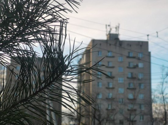     Озвучен прогноз погоды в Хабаровске на 8 ноября / Ольга Григорьева