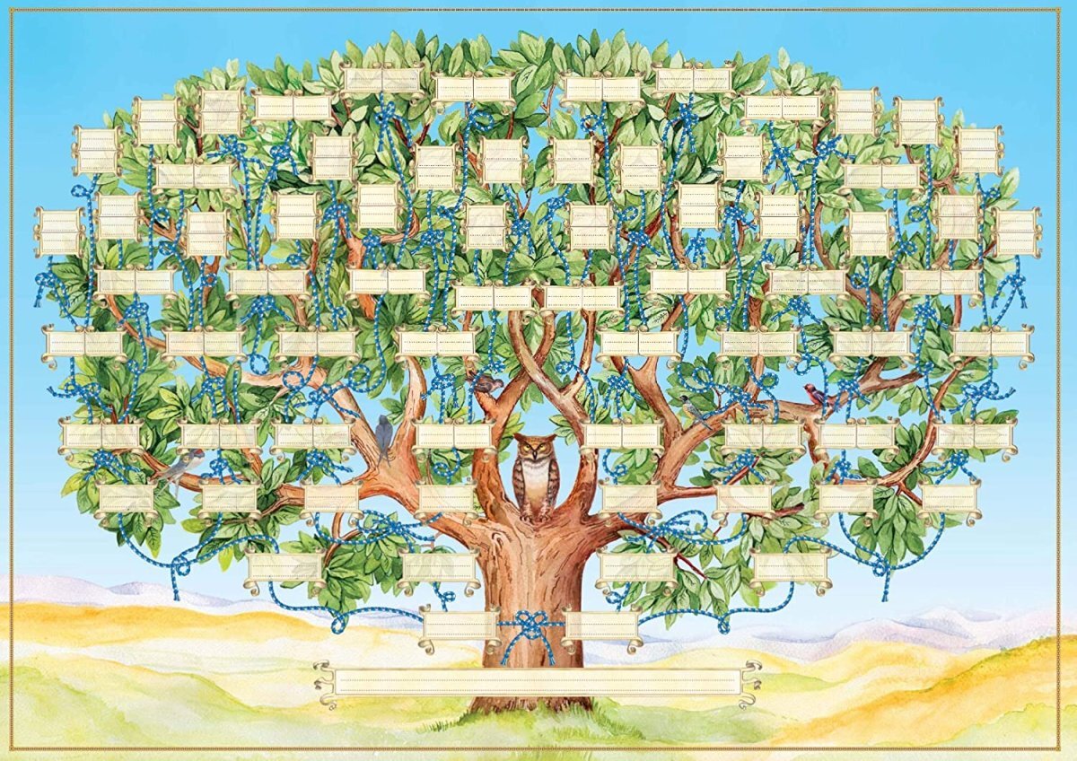 Arbol genealogico dibujo