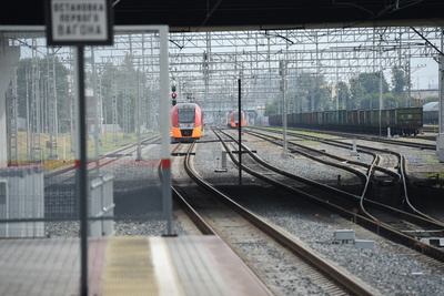    Поезд МЦК ©Анастасия Осипова РИАМО