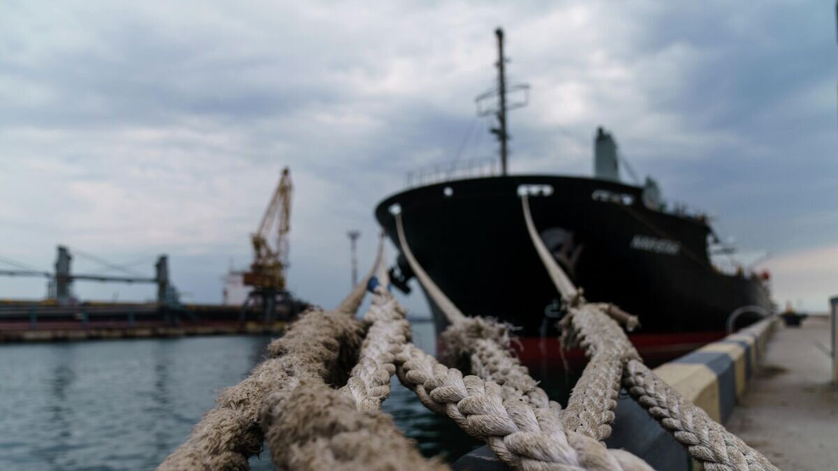    Корабль Navi-Star с украинским зерном у причала Одесского морского порта, Украина© AP Photo / David Goldman