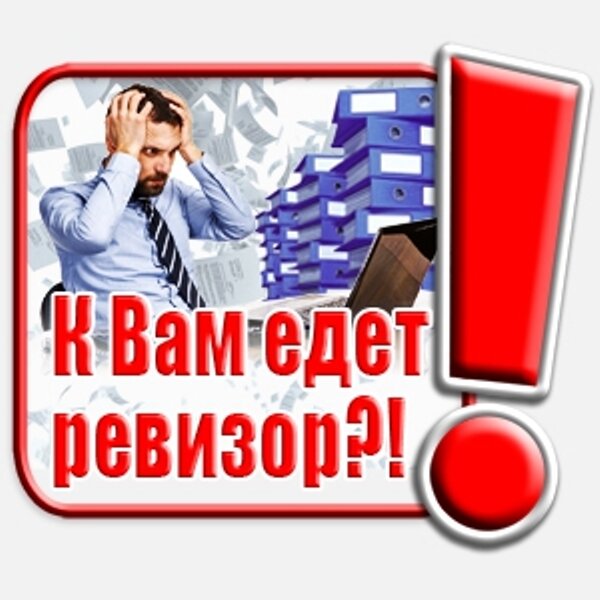С днем ревизора картинки