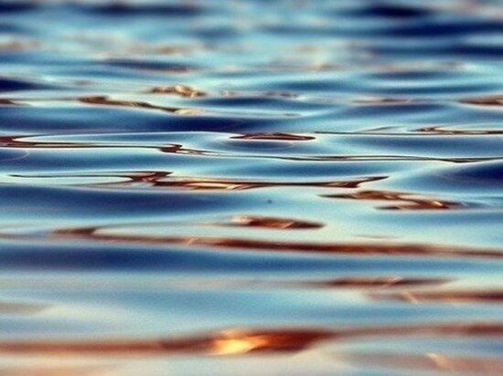    фото: pixabay.com
