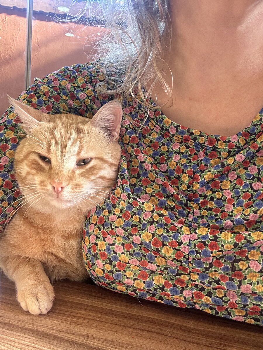Ждём котлеты 