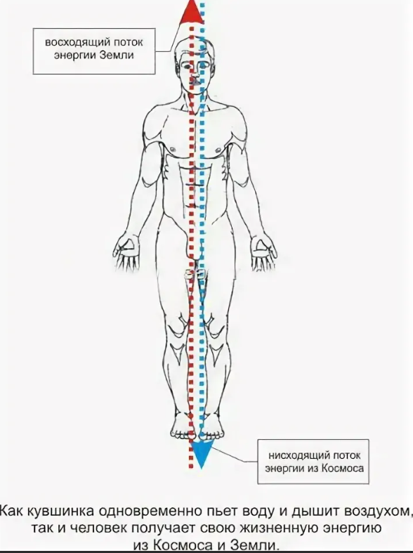 Оси энергии. Энергетические потоки в теле человека снизу и сверху. Энергетические потоки вдоль позвоночника. Восходящий и нисходящий энергетический поток. Схема энергетических потоков в теле человека.