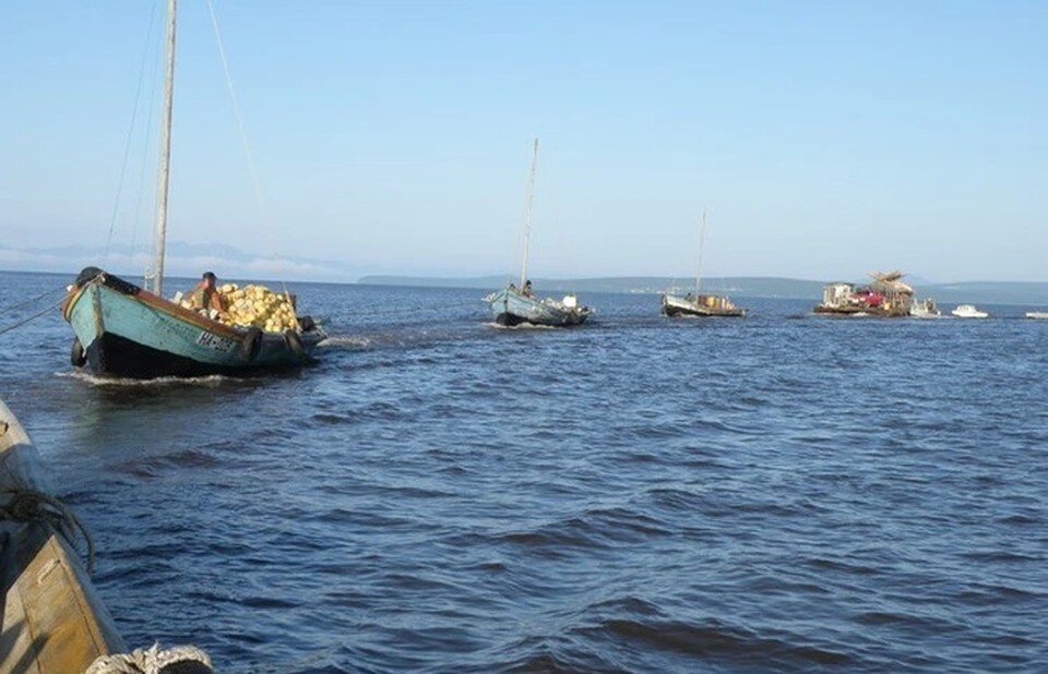     Китов добывают караванами из судов. Иллюстрация из архива. Фото: Алексей МАРЧЕНКО