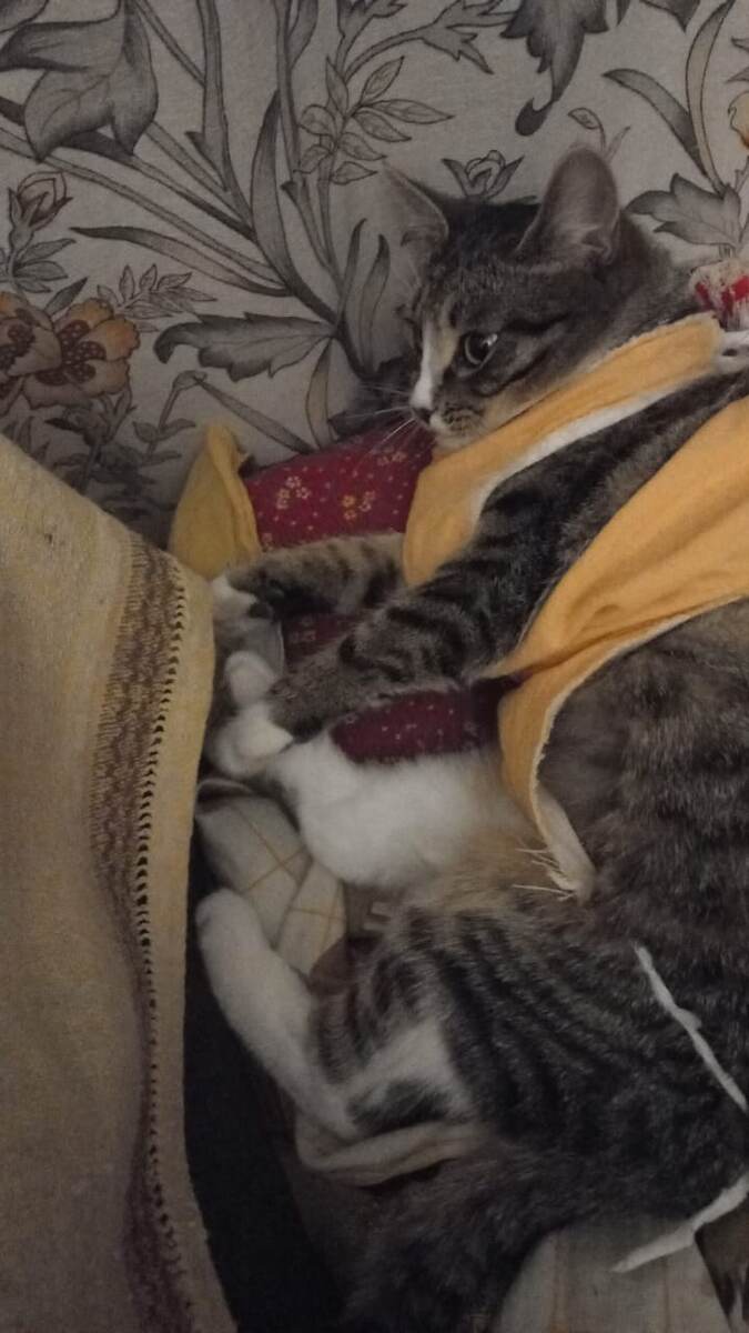 -2