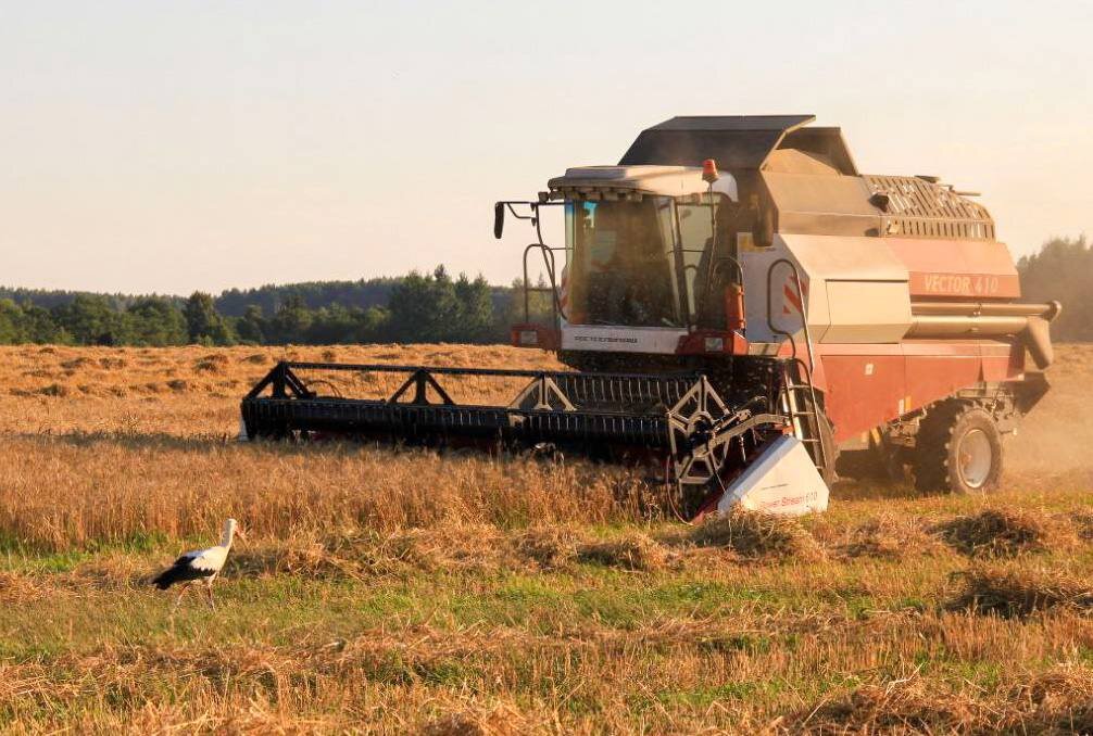 Урожайность 2022 года. Сбор пшеницы в красной заре Орловской области. Валовый сбор урожая в 2022 году в УРФО.