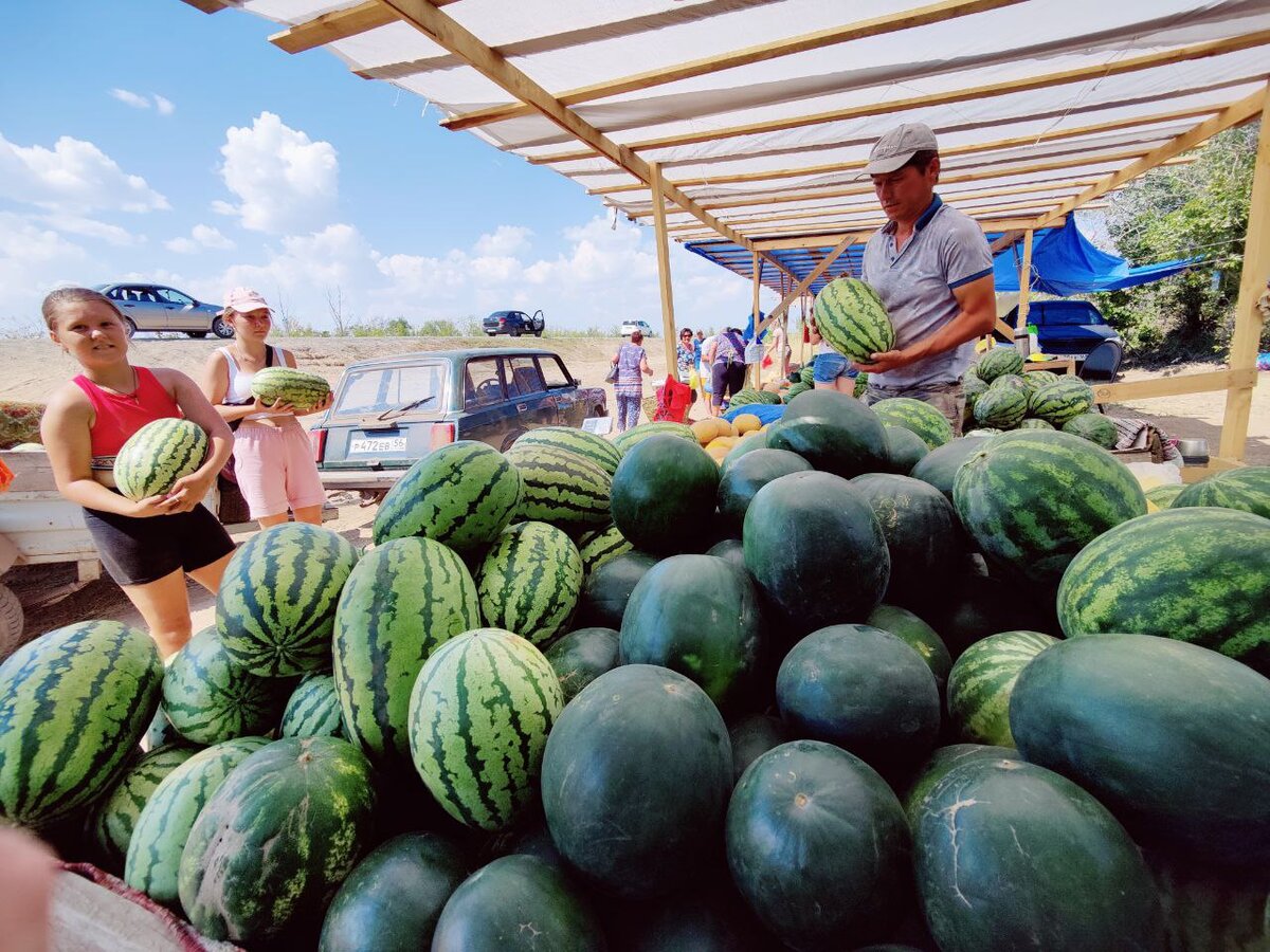 Соль-Илецкие арбузы знает вся страна