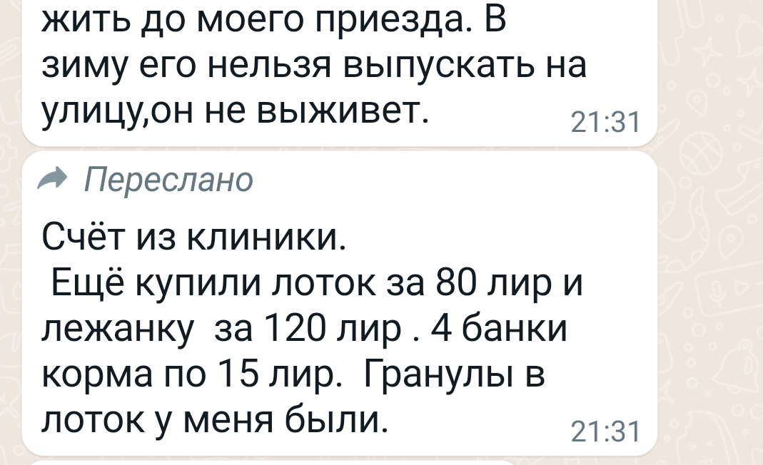 Сообщения от Натальи.