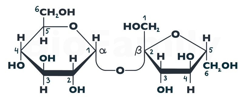 Biofamily биология. Схема образования мальтозы. Мальтоза br2 h2o. Мальтоза этиловый спирт. Мальтоза из молекул ГЛЮКOZA.