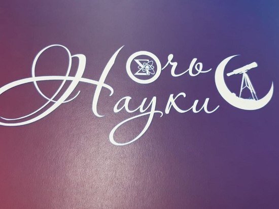     Фото: телеграм-канал Псковской области